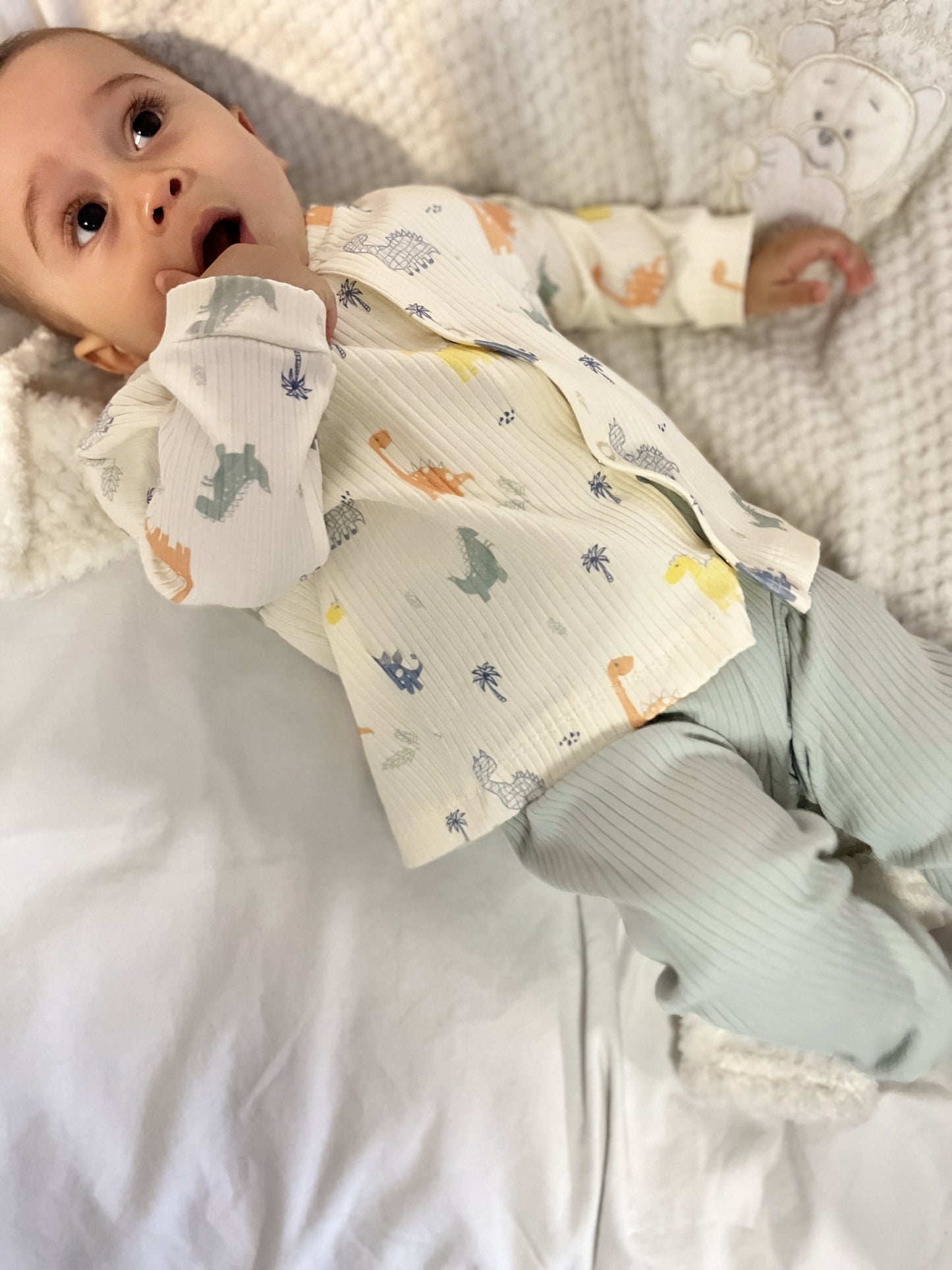 Baby Boy Two-Piece Dino Outfit in Cotton