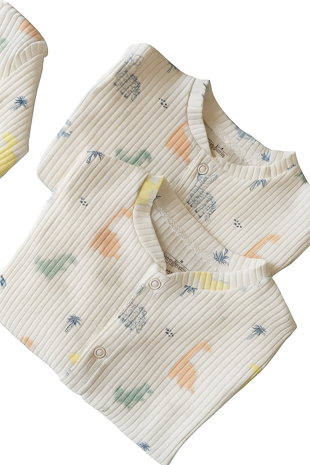 Baby Boy Two-Piece Dino Outfit in Cotton
