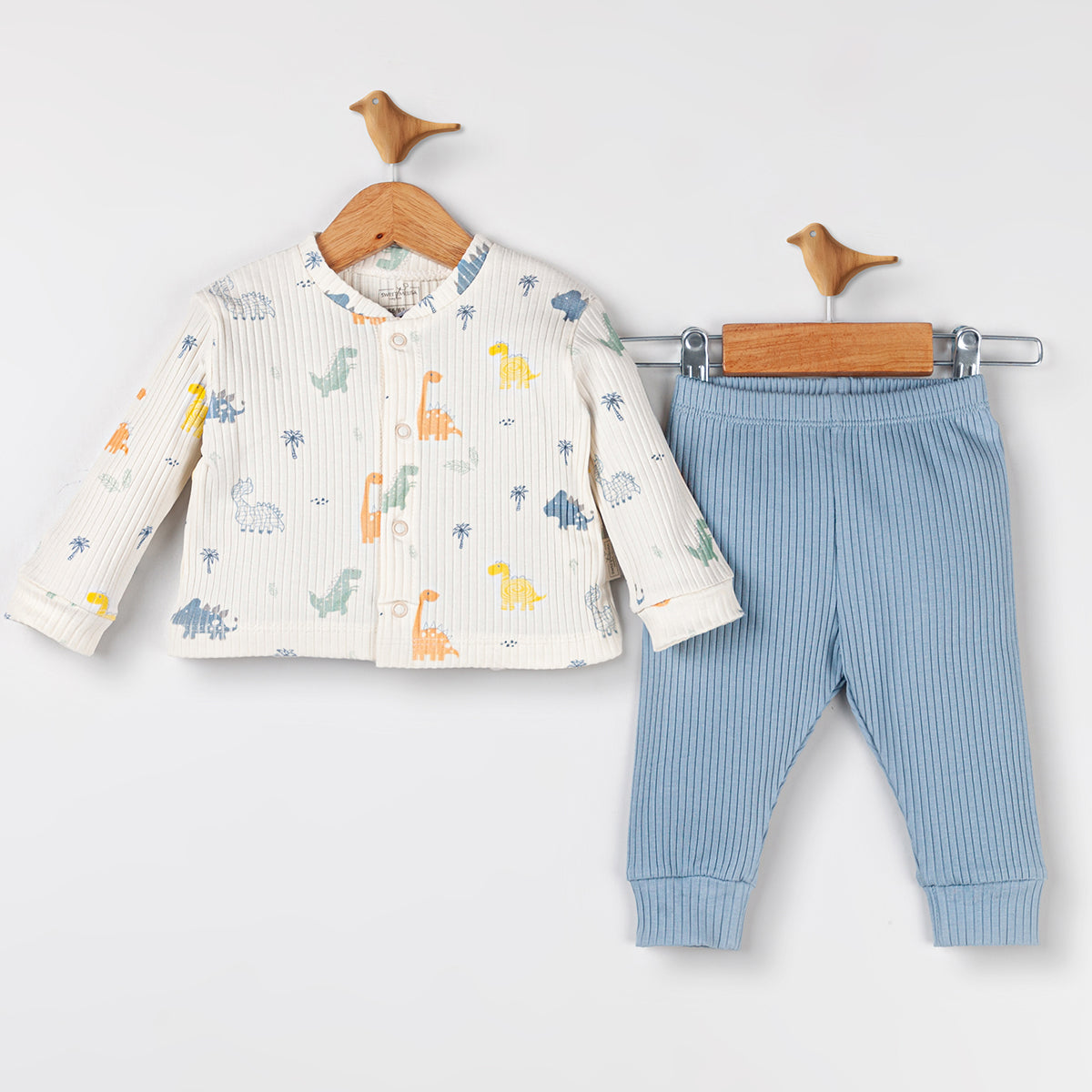 Baby Boy Two-Piece Dino Outfit with blue pants