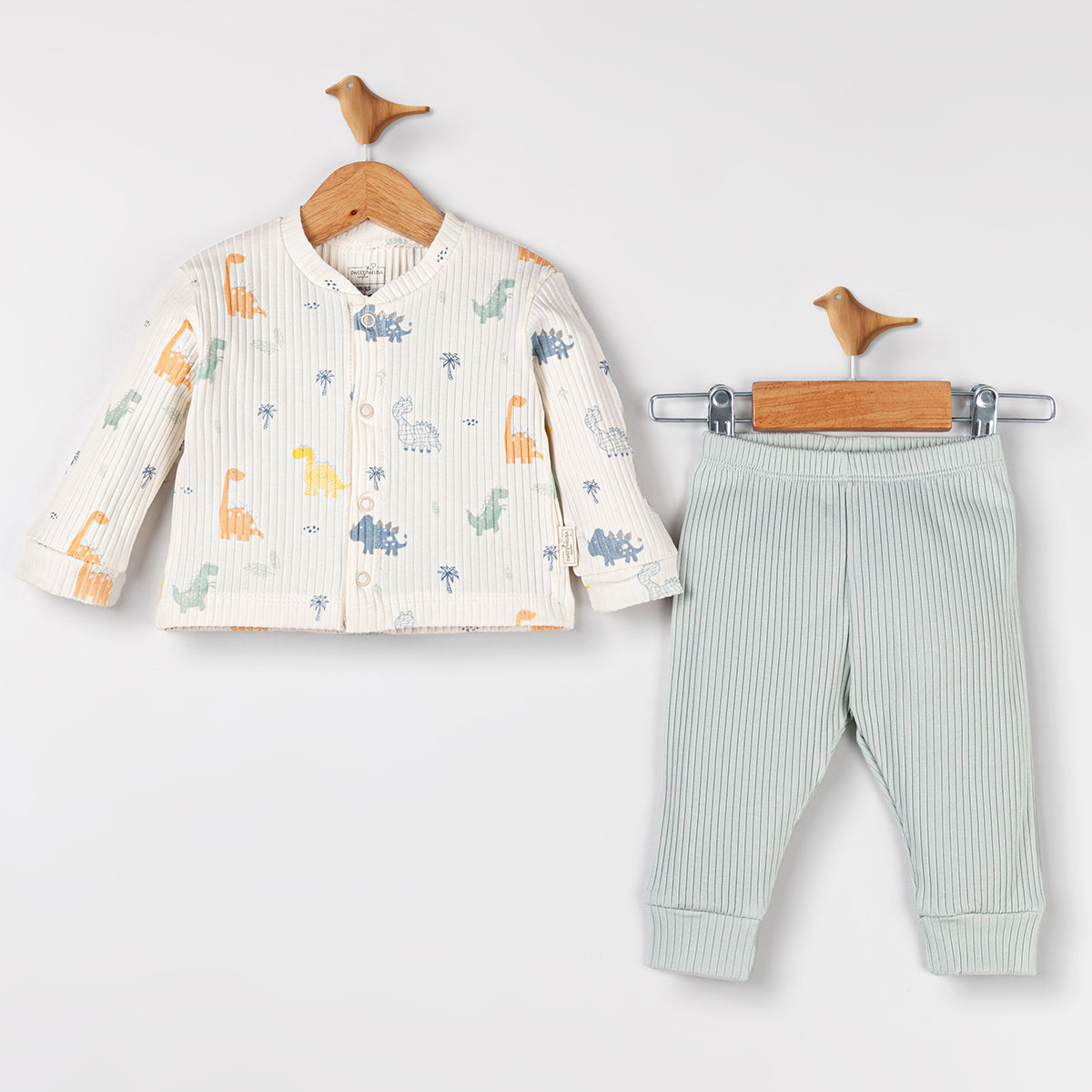 Baby Boy Two-Piece Dino Outfit with mint pants